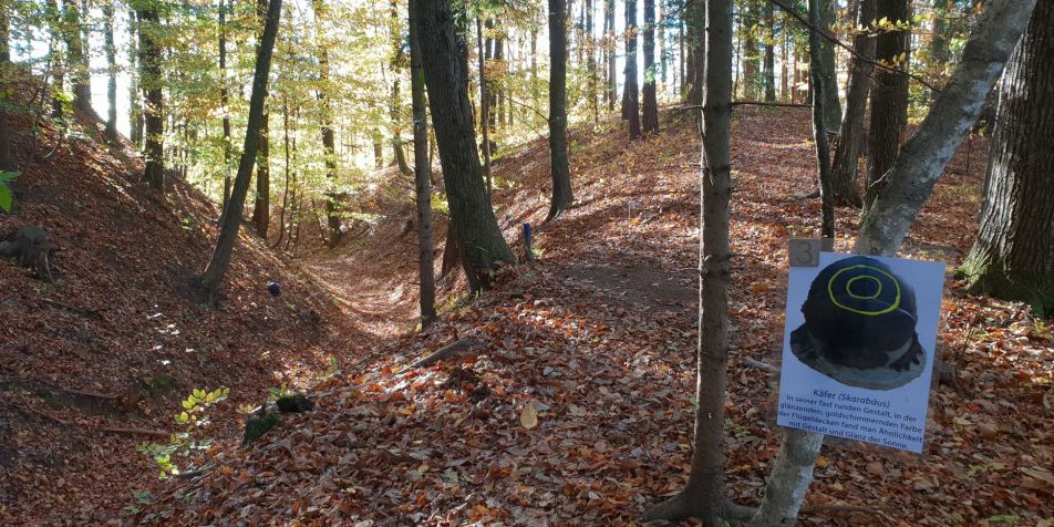3D Bogenschieß-Turnier als Teamtraining beim Betriebsausflug 
- 
Naturbursch Training Riegersburg - Teamtraining, Kletterkurse, Hochseilgarten