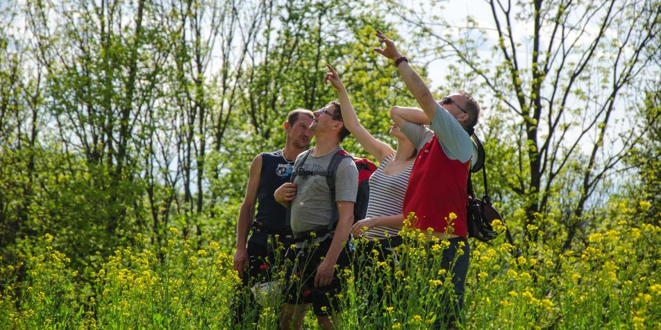 Schatzsuche rund um die Riegersburg 
- 
Naturbursch Training Riegersburg - Teamtraining, Kletterkurse, Hochseilgarten